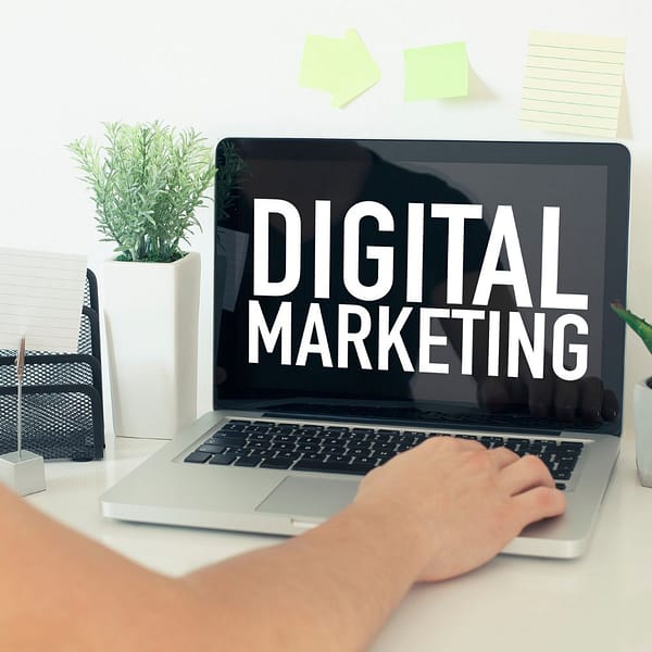 Digital Marketing Basic Plan